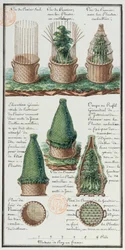 Illustration eines geflochtenen Korbes zum Transport von Pflanzen, aus dem Notizbuch des Künstlers während der Expeditionen von Jean-Francois Gallup de la Perouse (1741-88)